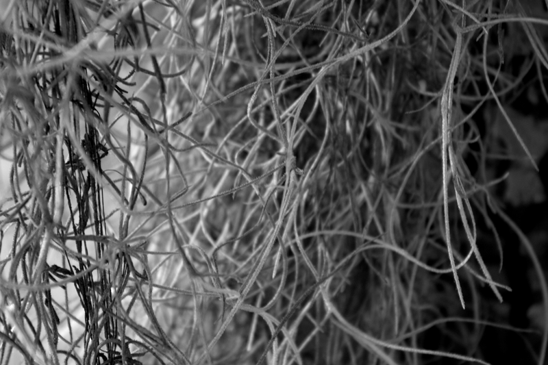 Illustration for article titled I'm still new to photography but here are some pics I took today!